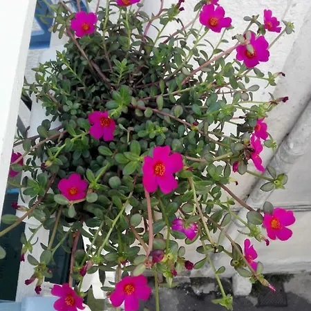 Casa Positano